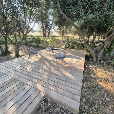 Dom wakacyjny Cap D'agde Prestige Calme Piscine